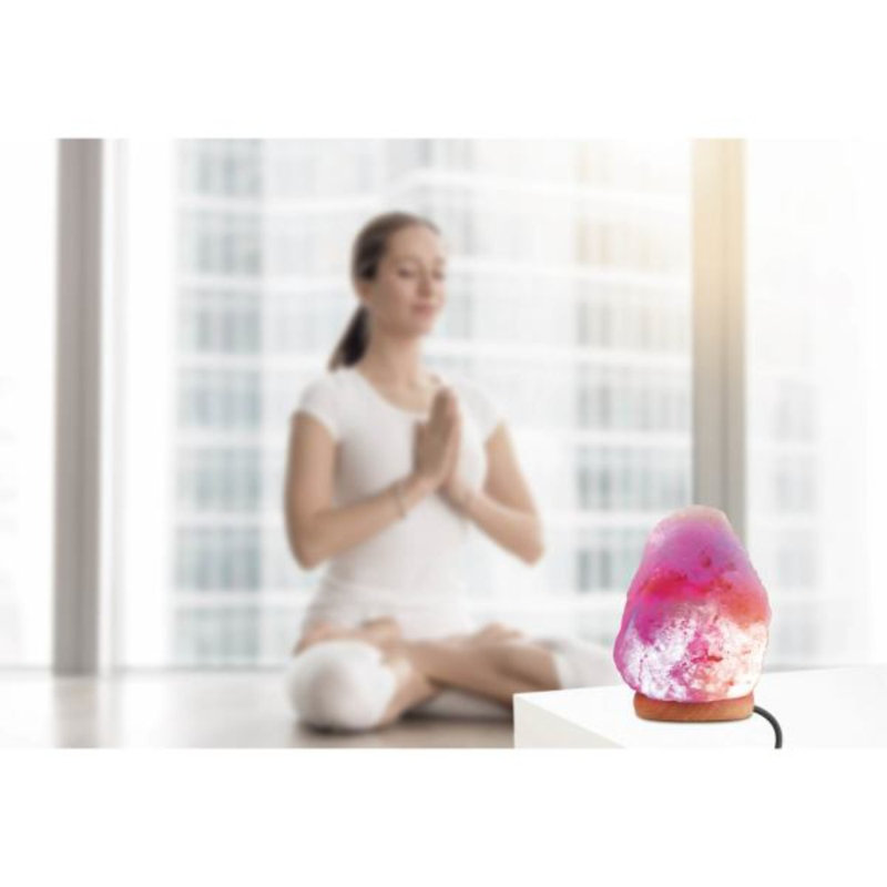 Brookstone Himalayan 5 lbs Salt Lamp & Reviews Wayfair